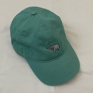 Turquoise San Diego Zoo Baseball Cap